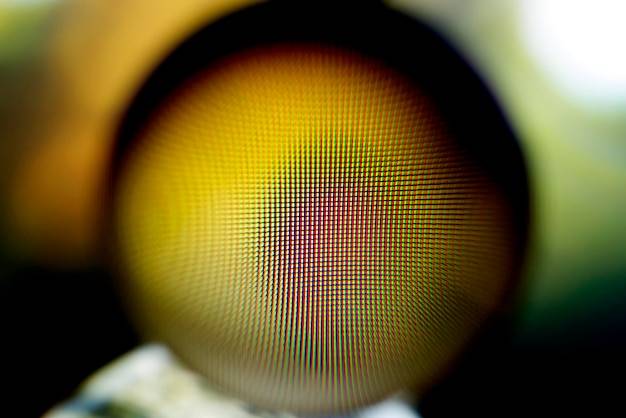 Jaki filtr połówkowy wybrać do fotografii krajobrazowej?