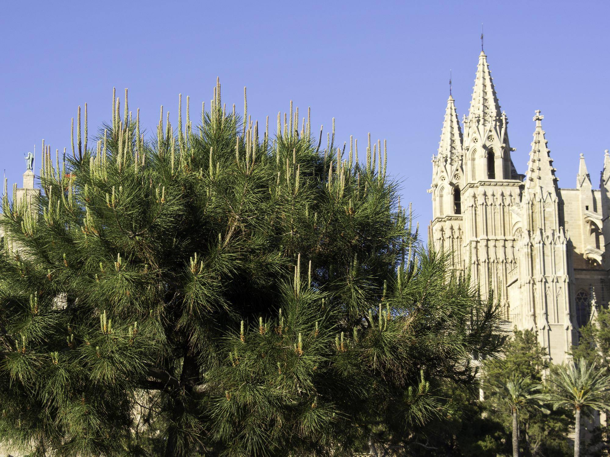 Gdzie jest kościół Sagrada Familia i dlaczego warto go odwiedzić?